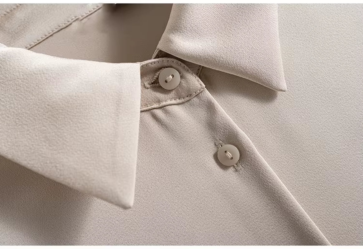 Blouse Women Blusas Mujer De Moda 2025 Turn down Collar Office Blouse Shirt Long Sleeve Chiffon Blouse Tops Women Blouses E204