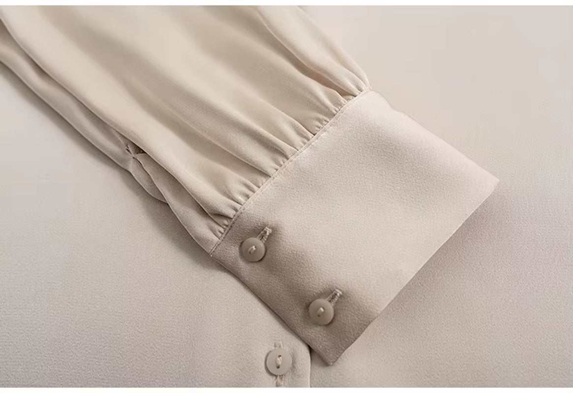 Blouse Women Blusas Mujer De Moda 2025 Turn down Collar Office Blouse Shirt Long Sleeve Chiffon Blouse Tops Women Blouses E204